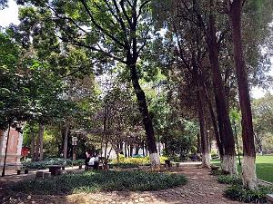 Kunming - Universite du Yunnan (32)